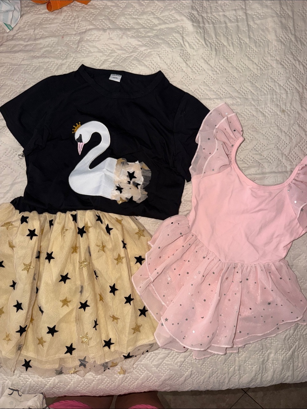 Black Swan Tutu Dress & Pink Tulle Ballet Dress